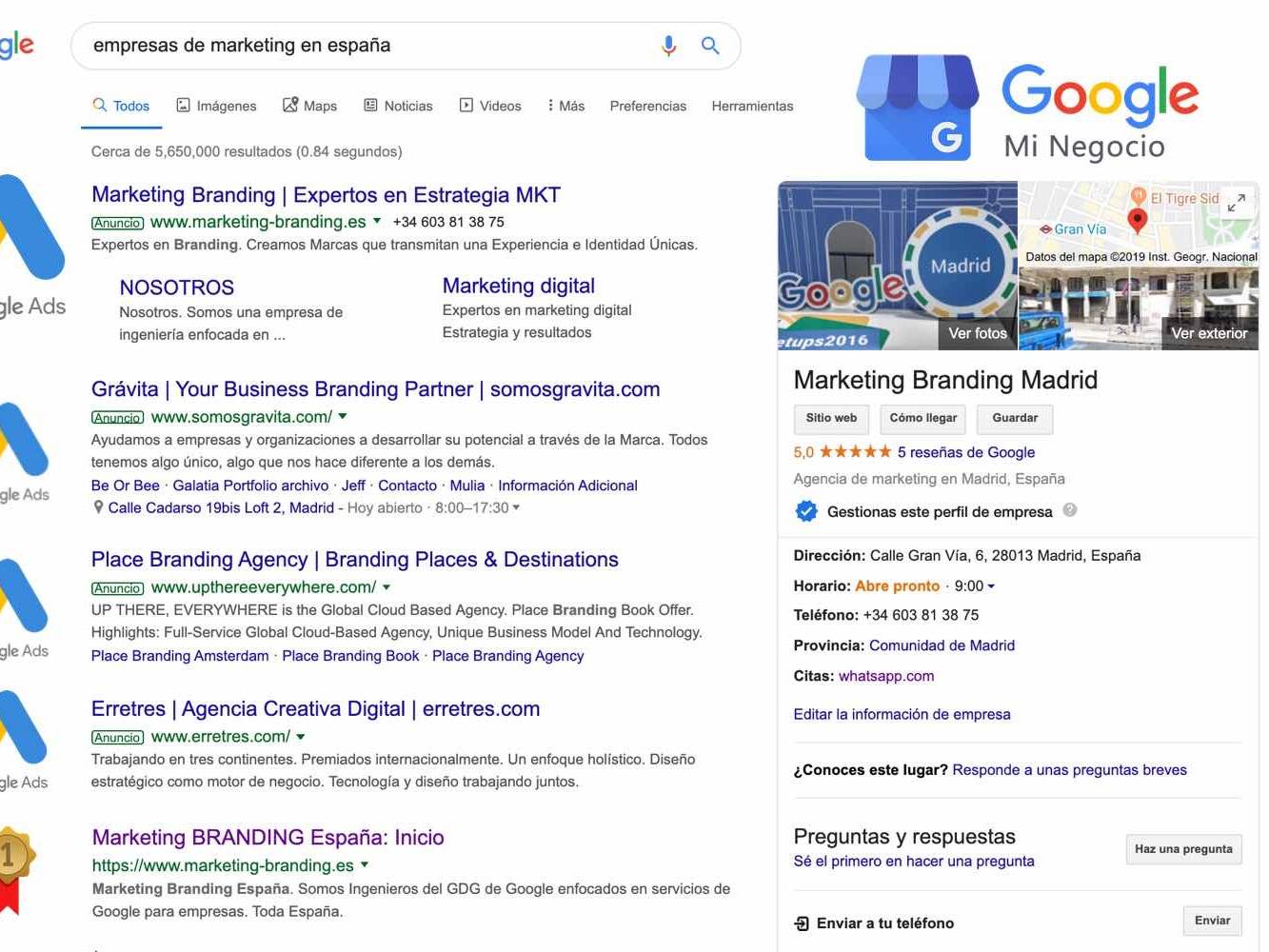 serp, serp google