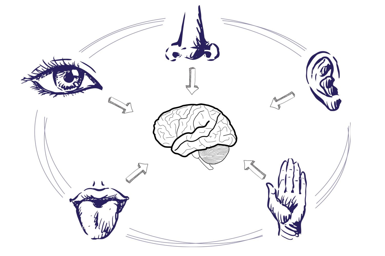 marketing sensorial, que es marketing sensorial